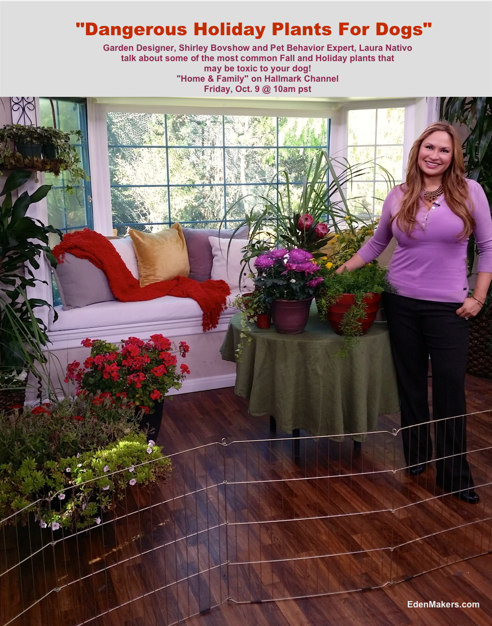 garden-designer-shirley-bovshow-expert-poisonous-holiday-plants-in-fall-home-and-family-show-hallmark-channel-edenmakers-blog